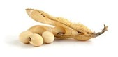 Proteina de soja