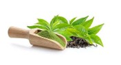 Chá Verde